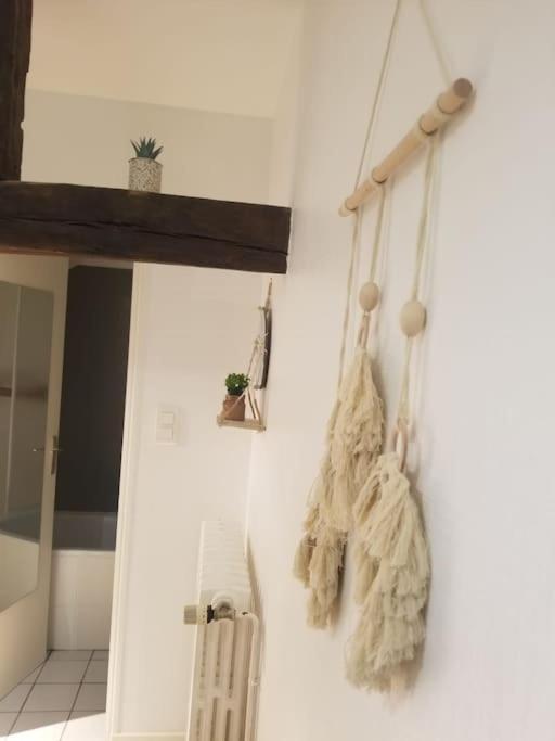 Studio Proche Centre Ville 勒芒 外观 照片